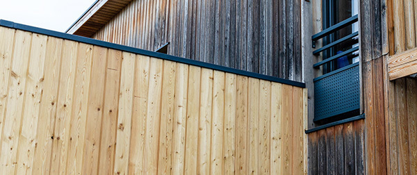 Renovadores Renovadores